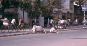 Straßenszene in Varanasi
