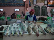 auf dem Fischmarkt