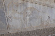 Steinrelief in der Apadana