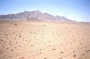 In der Namib Wüste