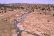 Tarangire-Nationalpark