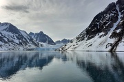 arktische Schönheit