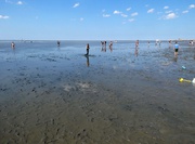 Norddeich: Blick auf das Wattenmeer