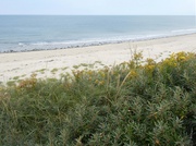 Strandleben