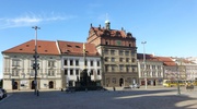 Rathaus und Pestsäule