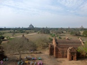 Pagodenfeld in Bagan