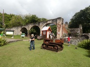 im Central Forest ...