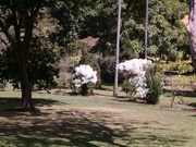 im botanischen Garten